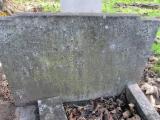 image of grave number 351017